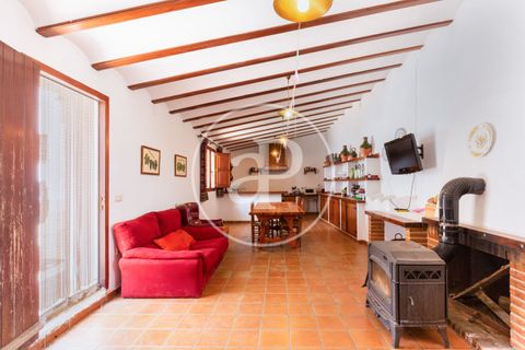 Farm hus i Utiel, Valencia, Utiel - € 1.350.000 | Ref: VV2407046 - foto 7