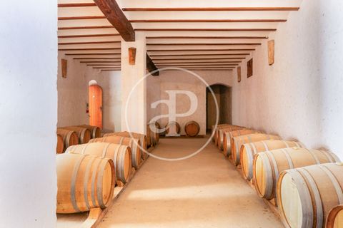 Farm hus i Utiel, Valencia, Utiel - € 1.350.000 | Ref: VV2407046 - foto 39