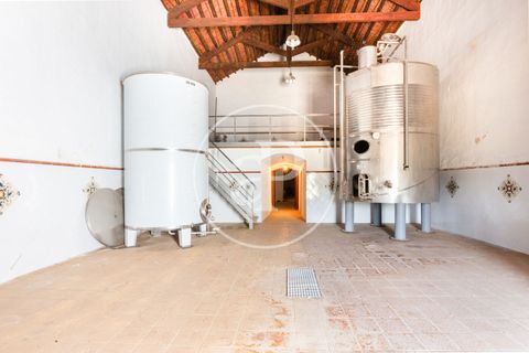 Farm hus i Utiel, Valencia, Utiel - € 1.350.000 | Ref: VV2407046 - foto 40