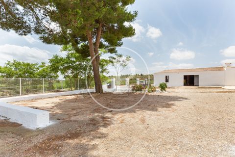 Farm hus i Utiel, Valencia, Utiel - € 1.350.000 | Ref: VV2407046 - foto 43