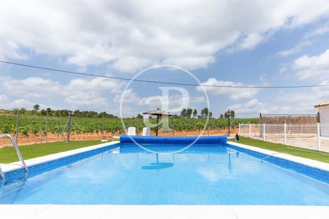 Farm hus i Utiel, Valencia, Utiel - € 1.350.000 | Ref: VV2407046 - foto 44