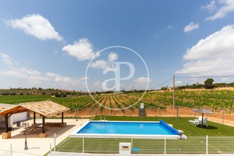 Farm hus i Utiel, Valencia, Utiel - € 1.350.000 | Ref: VV2407046 - foto 45