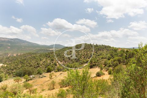 Farm hus i Utiel, Valencia, Utiel - € 1.350.000 | Ref: VV2407046 - foto 47