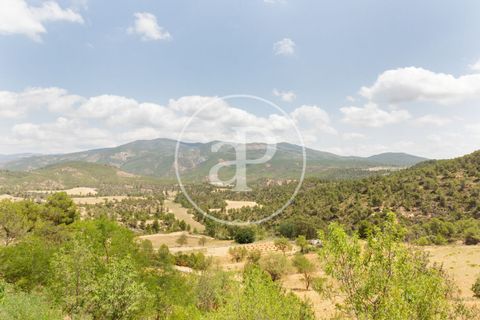 Farm hus i Utiel, Valencia, Utiel - € 1.350.000 | Ref: VV2407046 - foto 48