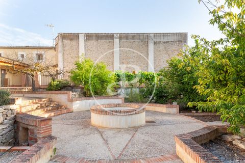 Farm hus i Utiel, Valencia, Utiel - € 1.900.000 | Ref: VV2407052 - foto 39
