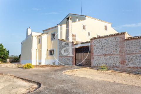 Farm hus i Utiel, Valencia, Utiel - € 1.900.000 | Ref: VV2407052 - foto 41