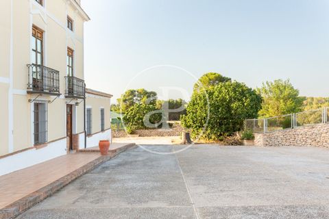 Farm hus i Utiel, Valencia, Utiel - € 1.900.000 | Ref: VV2407052 - foto 42