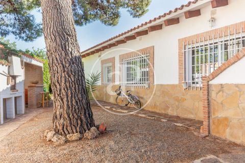 Villa i Riba-Roja De Turia, Valencia, Riba-Roja De Turia - € 615.000 | Ref: VV2407049 - foto 30