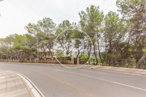 Helårsgrund i Chiva, Valencia, Chiva - € 250.000 | Ref: VV2408003 - foto 10