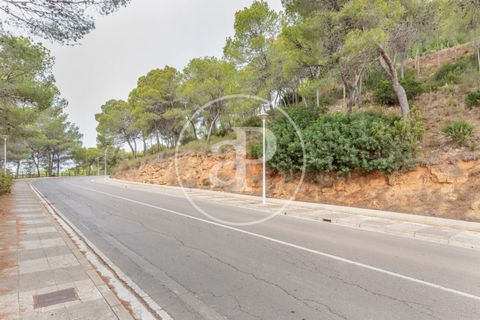 Helårsgrund i Chiva, Valencia, Chiva - € 250.000 | Ref: VV2408003 - foto 11