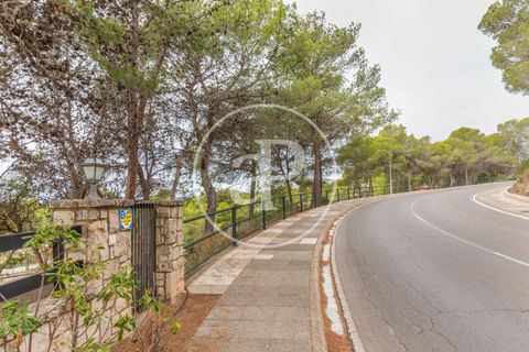 Helårsgrund i Chiva, Valencia, Chiva - € 250.000 | Ref: VV2408003 - foto 12