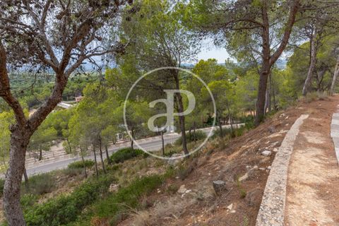 Helårsgrund i Chiva, Valencia, Chiva - € 250.000 | Ref: VV2408003 - foto 13