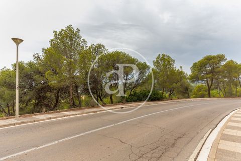 Helårsgrund i Chiva, Valencia, Chiva - € 250.000 | Ref: VV2408003 - foto 14