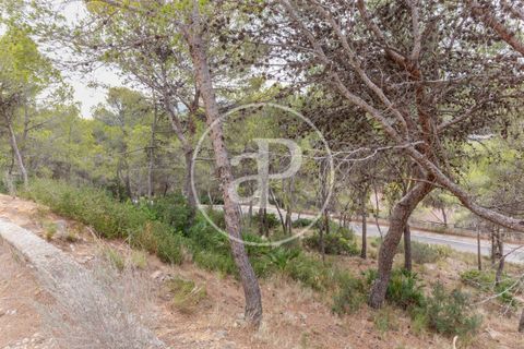 Helårsgrund i Chiva, Valencia, Chiva - € 250.000 | Ref: VV2408003 - foto 15