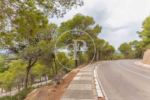 Helårsgrund i Chiva, Valencia, Chiva - € 250.000 | Ref: VV2408003 - foto 16