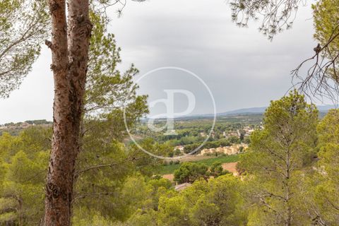 Helårsgrund i Chiva, Valencia, Chiva - € 250.000 | Ref: VV2408003 - foto 18