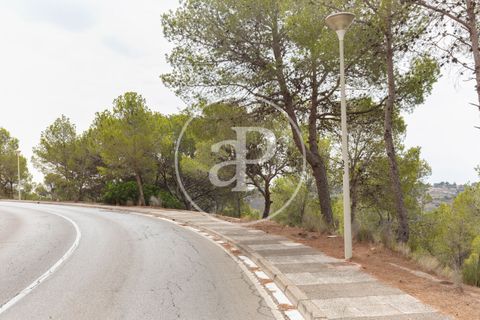 Helårsgrund i Chiva, Valencia, Chiva - € 250.000 | Ref: VV2408003 - foto 19