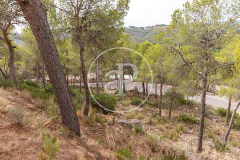 Helårsgrund i Chiva, Valencia, Chiva - € 250.000 | Ref: VV2408003 - foto 20