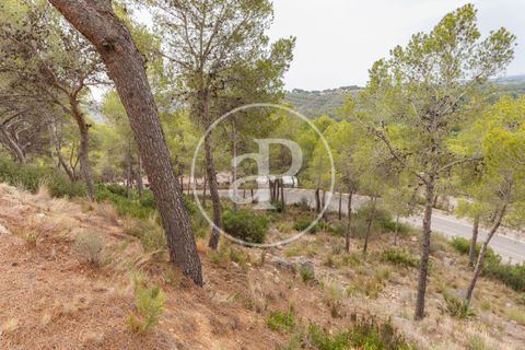 Helårsgrund i Chiva, Valencia, Chiva - € 250.000 | Ref: VV2408003 - foto 21