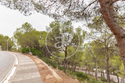 Helårsgrund i Chiva, Valencia, Chiva - € 250.000 | Ref: VV2408003 - foto 22