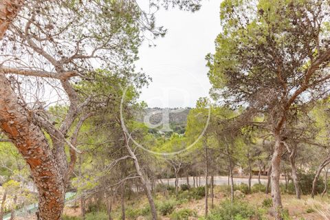 Helårsgrund i Chiva, Valencia, Chiva - € 250.000 | Ref: VV2408003 - foto 23