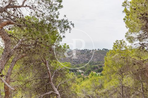Helårsgrund i Chiva, Valencia, Chiva - € 250.000 | Ref: VV2408003 - foto 24