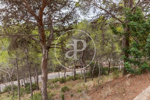 Helårsgrund i Chiva, Valencia, Chiva - € 250.000 | Ref: VV2408003 - foto 25