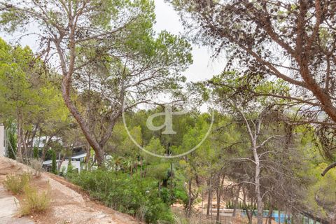 Helårsgrund i Chiva, Valencia, Chiva - € 250.000 | Ref: VV2408003 - foto 26