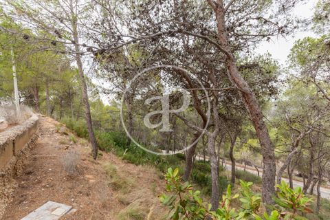 Helårsgrund i Chiva, Valencia, Chiva - € 250.000 | Ref: VV2408003 - foto 28