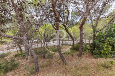Helårsgrund i Chiva, Valencia, Chiva - € 250.000 | Ref: VV2408003 - foto 29