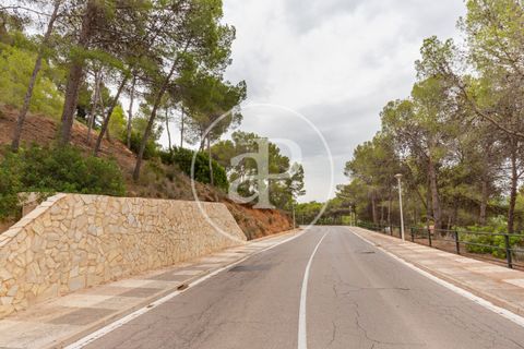 Helårsgrund i Chiva, Valencia, Chiva - € 250.000 | Ref: VV2408003 - foto 30