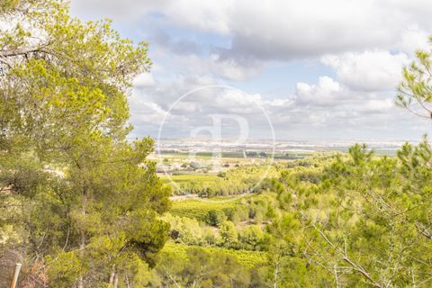 Terra a Chiva, Valencia, Chiva - € 350.000 | Ref: VV2410059 - foto 2