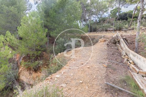 Terra a Chiva, Valencia, Chiva - € 350.000 | Ref: VV2410059 - foto 5