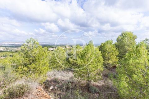 Terra a Chiva, Valencia, Chiva - € 350.000 | Ref: VV2410059 - foto 6