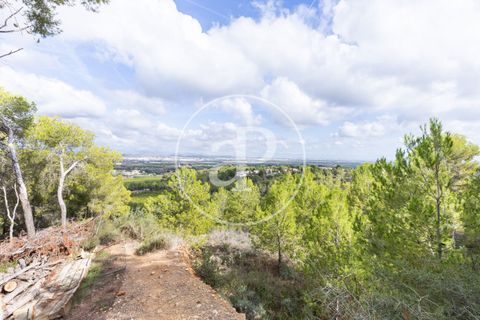 Terra a Chiva, Valencia, Chiva - € 350.000 | Ref: VV2410059 - foto 7