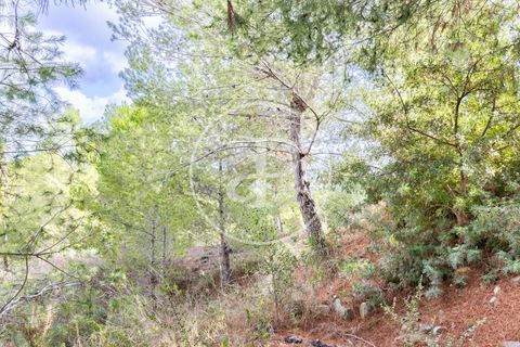 Terra a Chiva, Valencia, Chiva - € 350.000 | Ref: VV2410059 - foto 9
