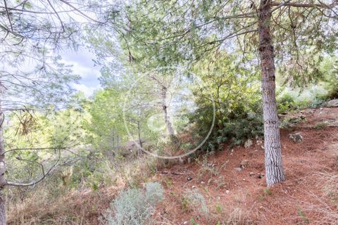 Terra a Chiva, Valencia, Chiva - € 350.000 | Ref: VV2410059 - foto 10