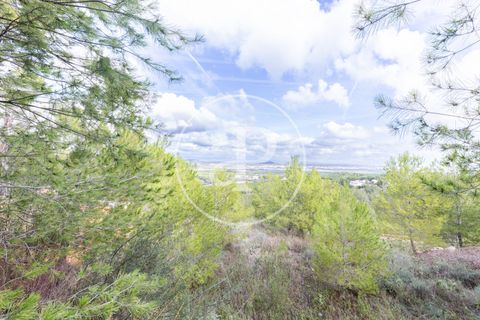 Terra a Chiva, Valencia, Chiva - € 350.000 | Ref: VV2410059 - foto 11