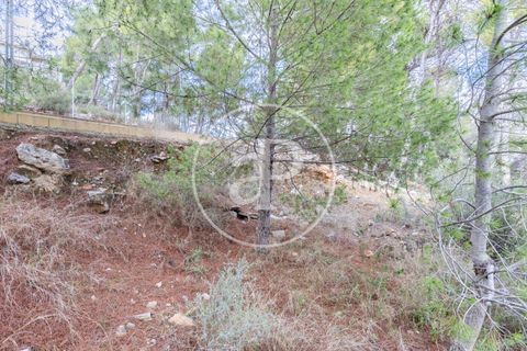 Terra a Chiva, Valencia, Chiva - € 350.000 | Ref: VV2410059 - foto 12
