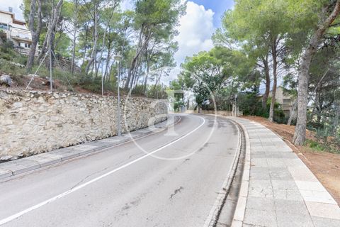 Terra a Chiva, Valencia, Chiva - € 350.000 | Ref: VV2410059 - foto 13
