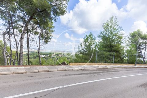 Terra a Chiva, Valencia, Chiva - € 350.000 | Ref: VV2410059 - foto 14