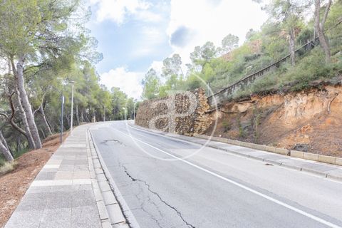 Terra a Chiva, Valencia, Chiva - € 350.000 | Ref: VV2410059 - foto 15