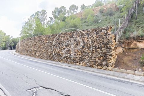 Terra a Chiva, Valencia, Chiva - € 350.000 | Ref: VV2410059 - foto 32
