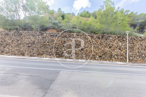 Terra a Chiva, Valencia, Chiva - € 350.000 | Ref: VV2410059 - foto 33