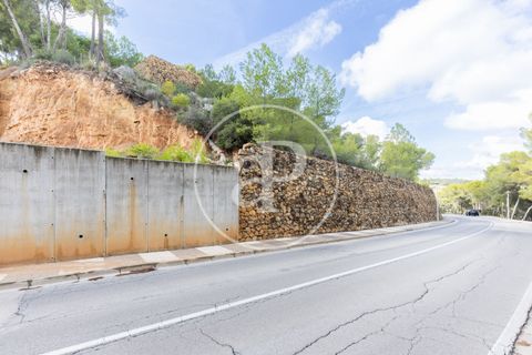 Terra a Chiva, Valencia, Chiva - € 350.000 | Ref: VV2410059 - foto 34