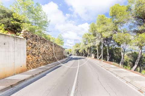 Terra a Chiva, Valencia, Chiva - € 350.000 | Ref: VV2410059 - foto 35