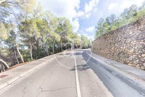 Terra a Chiva, Valencia, Chiva - € 350.000 | Ref: VV2410059 - foto 36