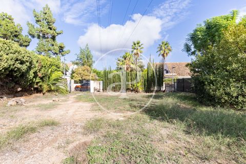 Terra a Godella, Valencia, Godella - € 495.000 | Ref: VV2412040 - foto 2