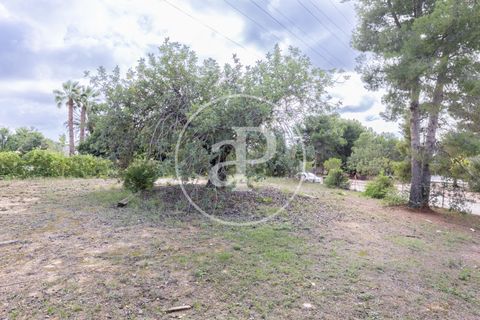 Terra a Godella, Valencia, Godella - € 495.000 | Ref: VV2412040 - foto 4