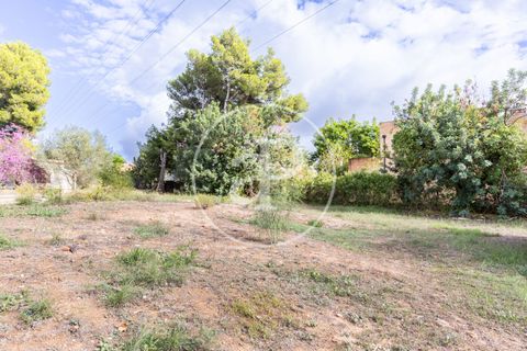 Terra a Godella, Valencia, Godella - € 495.000 | Ref: VV2412040 - foto 5